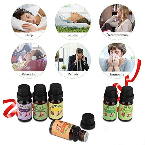 Ätherische Öle Set,6 x 10 ml Aromatherapie Duftöl 100% Pure Ätherische Öle Geschenk für Diffuser- Orange, Lavendel, Teebaum, Zitrone, Eukalyptus und Pfefferminze - 4
